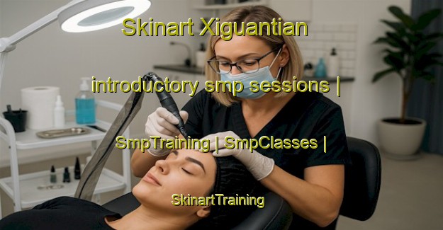 Skinart Xiguantian introductory smp sessions | SmpTraining | SmpClasses | SkinartTraining-China